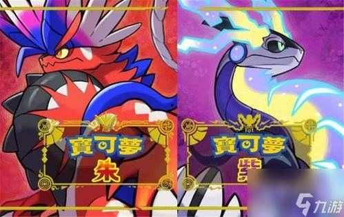 宝可梦珠子最新爆料图片,神秘图案揭示未知宝可梦